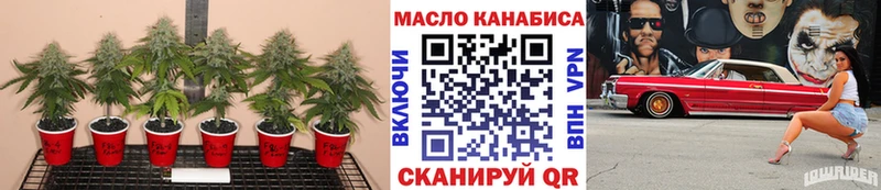 продажа наркотиков  Глазов  Дистиллят ТГК концентрат 