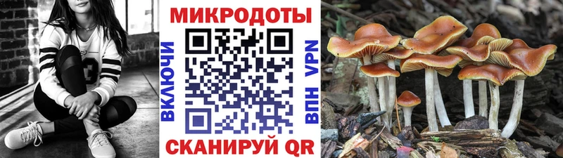 darknet формула  где купить наркоту  Глазов  Галлюциногенные грибы мицелий  МЕГА маркетплейс 