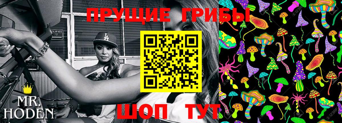 Псилоцибиновые грибы Psilocybe Глазов