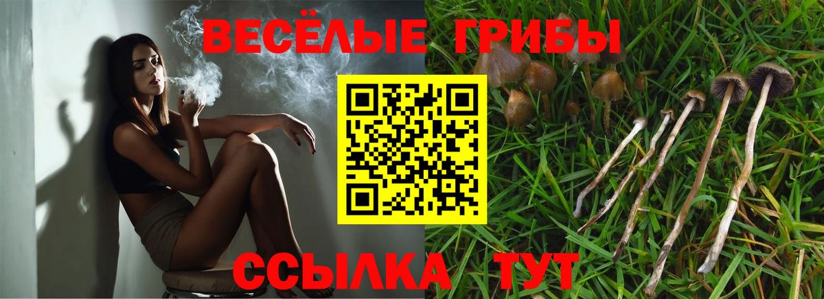 Глазов  Псилоцибиновые грибы MAGIC MUSHROOMS  Вход с VPN 